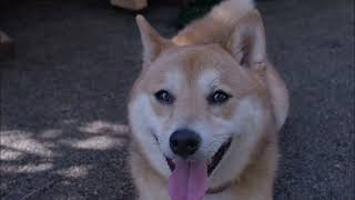 pyxis6k auto focus test