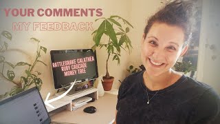 Your Comments | My Feedback