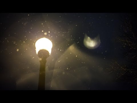 WunSmile - Oliver Price - Forever Inside