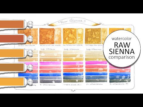 Watercolor Comparison Raw Sienna | 5 Brands to Explore