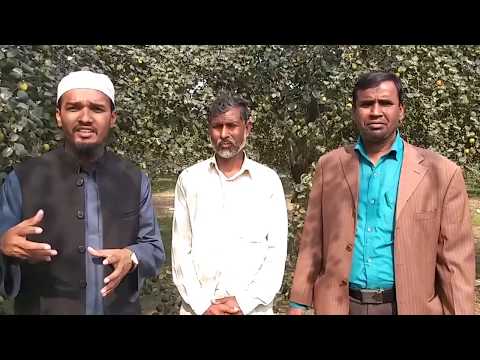 আপেল কুলে বাম্পার ফলন, একরে ৫ লক্ষ টাকা লাভ