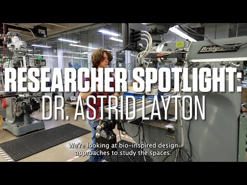 Researcher Spotlight: Dr. Astrid Layton