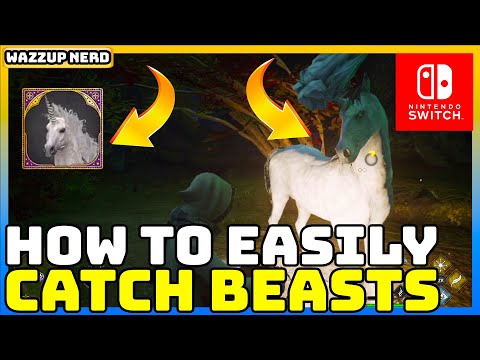 Hogwarts Legacy - How to Catch Beasts Walkthrough - Super Easy Guide