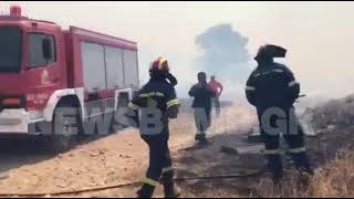 Dringende Evakuierung: Feuer in Feriz, in Saronida, in der Nähe von Siedlungen