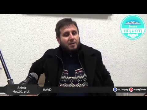 Selmir Hadžić, prof. - Havd