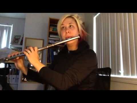 Flute Super Mario Theme