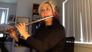 Flute Super Mario Theme