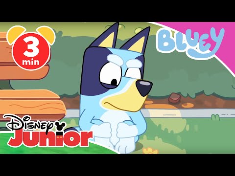 💙 Bluey - Clip: Lernen ist nicht leicht | Disney Junior
