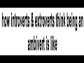how introverts & extroverts think being an ambivert is like