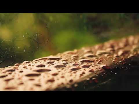 Schubert: Ellens Gesang III (Ave Maria!), Op. 52, No. 6, D. 839, "Hymne an die Jungfrau"