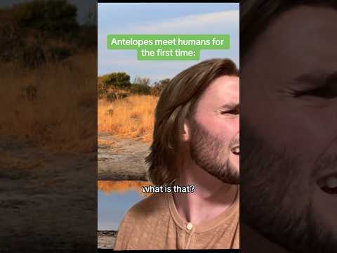 Ancient humans must’ve been terrifying