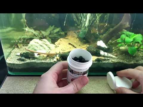 Aqua-Tropica Schnecken-VITAL - Hauptfutter für Wasser- und Landschnecken