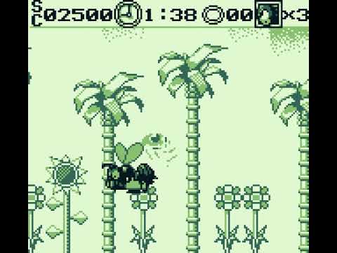 Longplay Sonic 3D Blast 5 (Game Boy)