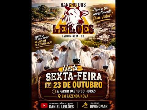 Fazenda Nova  - GO   23/10/2026