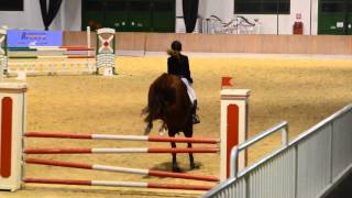 preview picture of video 'Naz.B MVR Show Jumpers Vermezzo 4 Ottobre 2014'