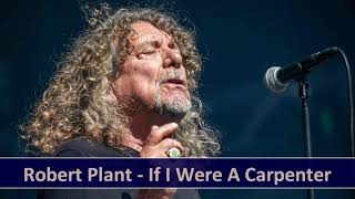 Robert Plant - If I Were A Carpenter
