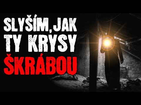 Slyším, jak ty krysy škrábou! - Creepypasta [ CZ ]