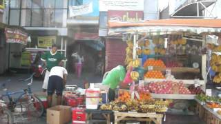 preview picture of video 'Jeepney ride from Luisita to Maligaya, San Miguel, Philippines'