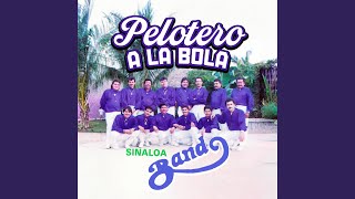Pollito Con Papas