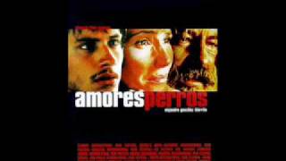 Tema Amores Perros + Atacama Music Video