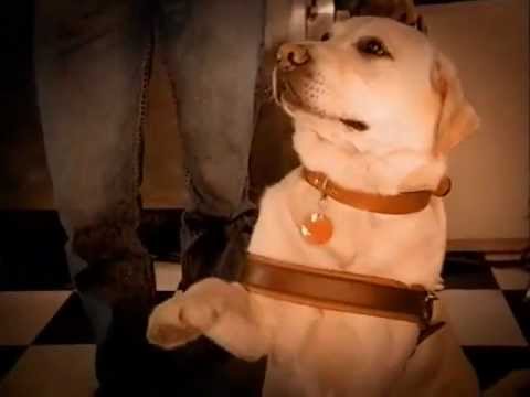 COKE "Dog Day Afternoon"