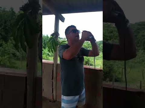 CAJURU SÃO PAULO.  02/01/2026