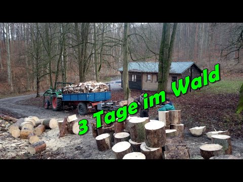 3 Tage im Wald | 6 Männer 3 Tage und 6 Anhänger Holz | Brennholz machen