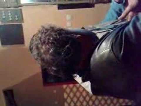 Ševo - Nekrunisani kralj Botoških noći