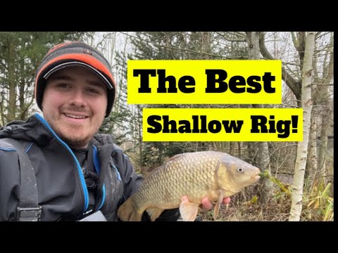 How To Make The Best F1 SHALLOW Rig Right Now!