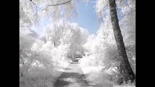 Morning Raj - Ben Jelen