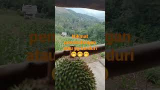 Download lagu antara dua pilihan🤭🤭 mp3