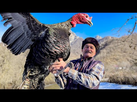 A Whole Turkey with Rice! Winter Evening with a Big Family