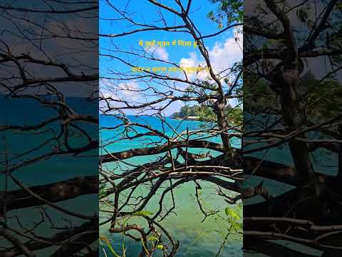 Mehboob sanam #trending #youtubeshorts #naturelovers #beachlover #sealovers #beachlife #feel4u