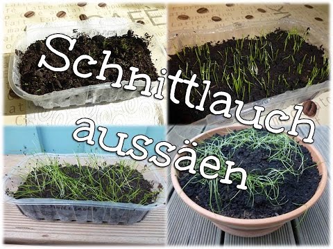 Prostatamassage Kurspreis Wie Steine in der Prostata gebildet