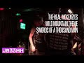 The Real McKenzies - Wild Mountain Thyme / Swords of a Thousand Men (30.06.2016 - Hafenklang HH)