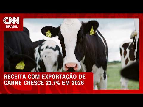 Receita com exportações de carne bovina cresce 21,7% em 2026 | CNN MERCADO