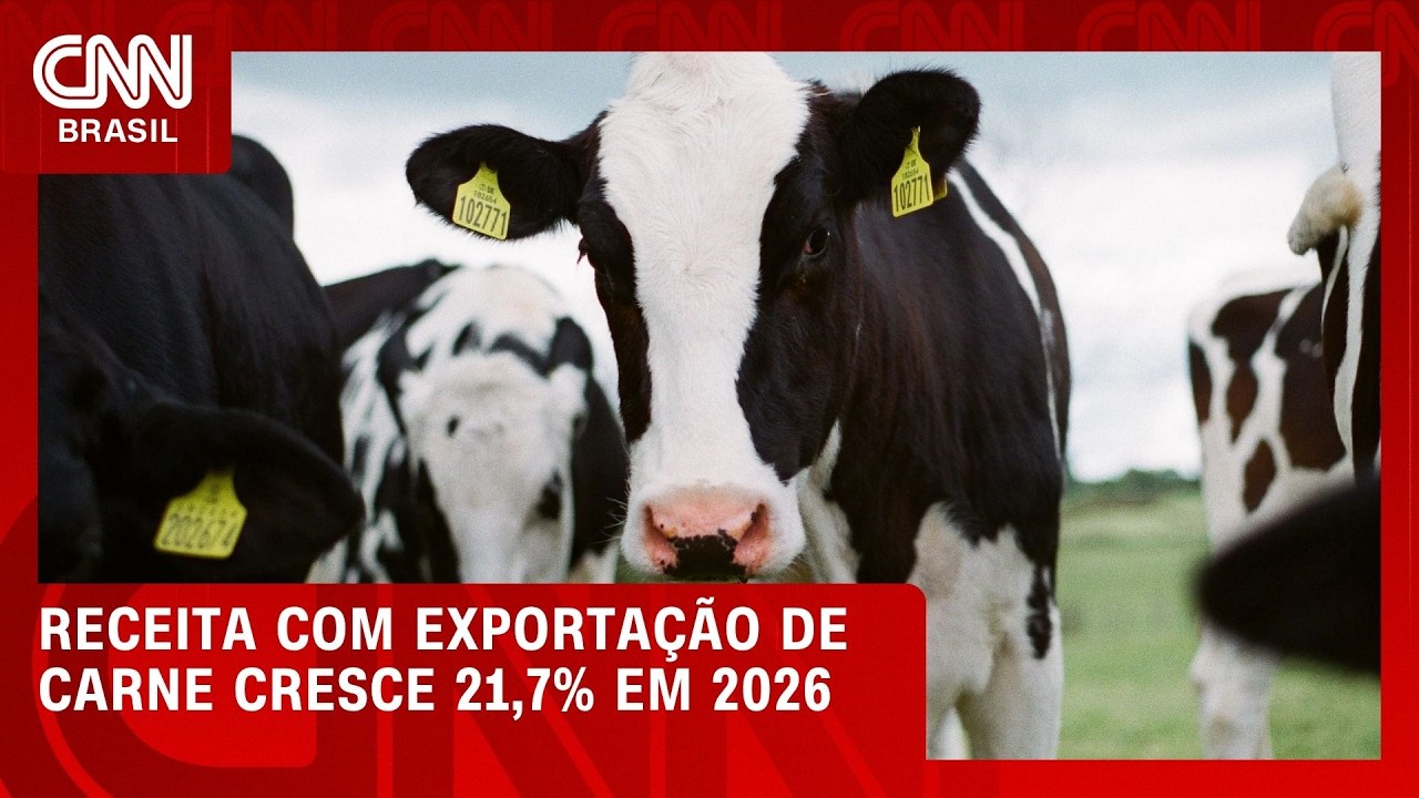 Receita com exportações de carne bovina cresce 21,7% em 2026 | CNN MERCADO