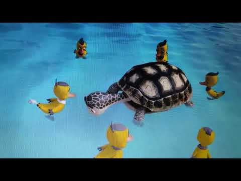 Sei paperelle 🧡🌼