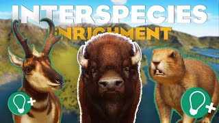 🦛 The ULTIMATE Guide to Interspecies Enrichment | Planet Zoo