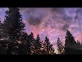 BARBARA CHRISTY - After The Fall