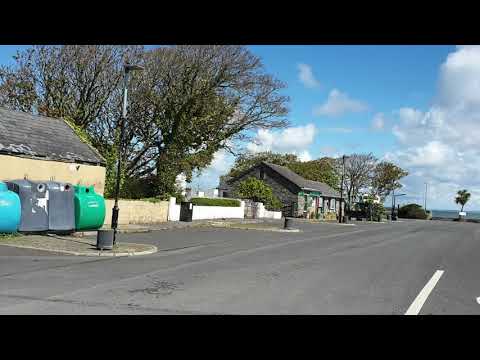 2020 Carrigaholt Oyster& Trad Music Festivel