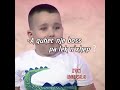 O Bossi I Babit