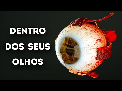 What Happens Inside Your Eyes