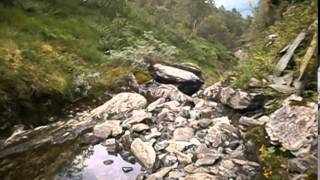 Creeking Krokavassbekken I (den onde kysten / svarte troner (burzum))