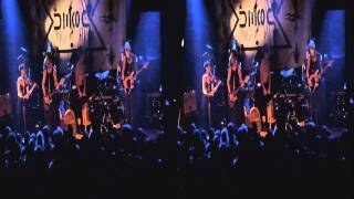 Sleepytime Gorilla Museum - Final Show - Ambugaton - 3D Footage - April 10th 2011