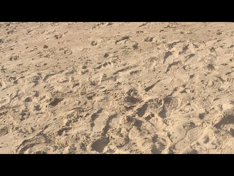 Malahide beach attraction