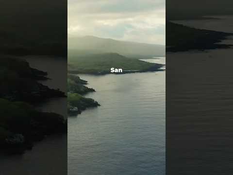 San Cristobal Island Travel Guide: Best Things to Do In 2026