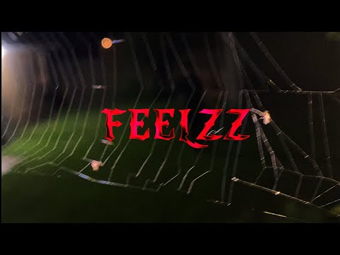 GHO$TBOY-FEELZz (official music video)(filmed by:Tajywajy)