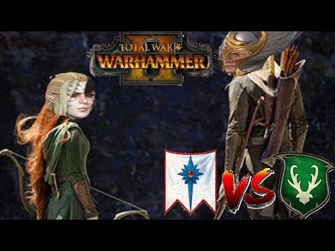 High Elves vs Wood Elves | ELF BOWL - Total War Warhammer 2