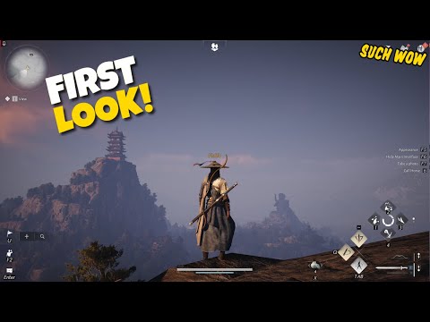 A New Hope For The MMO Genre? - Where Winds Meet